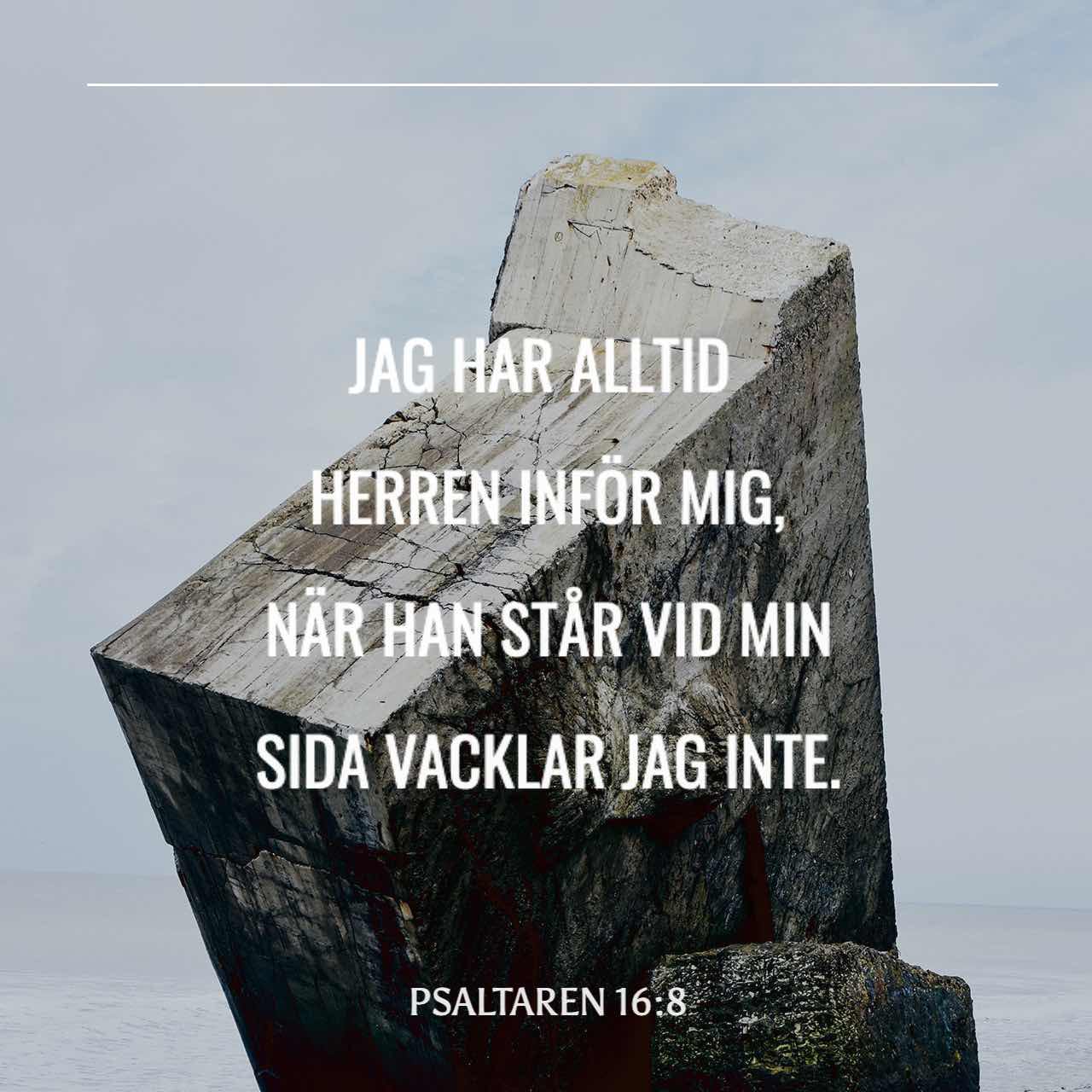 Ogli kokrakli singlisi bilan jinsiy aloqada boladi Qora va oq mmf