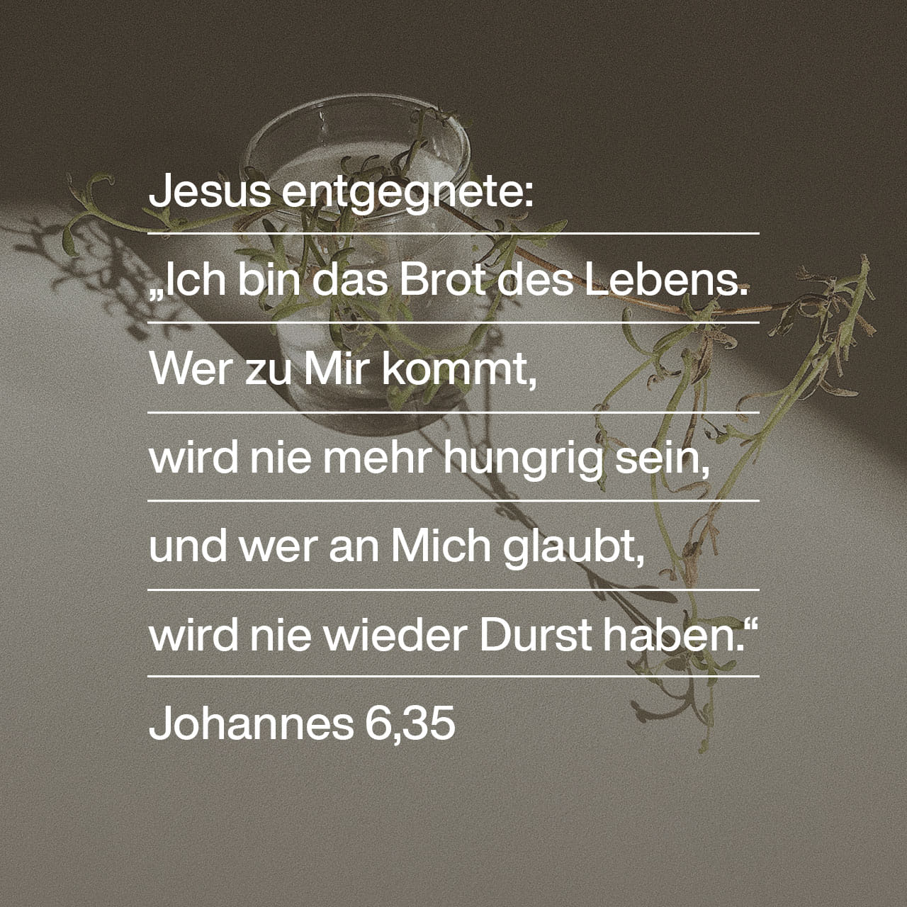 Johannes 6 35