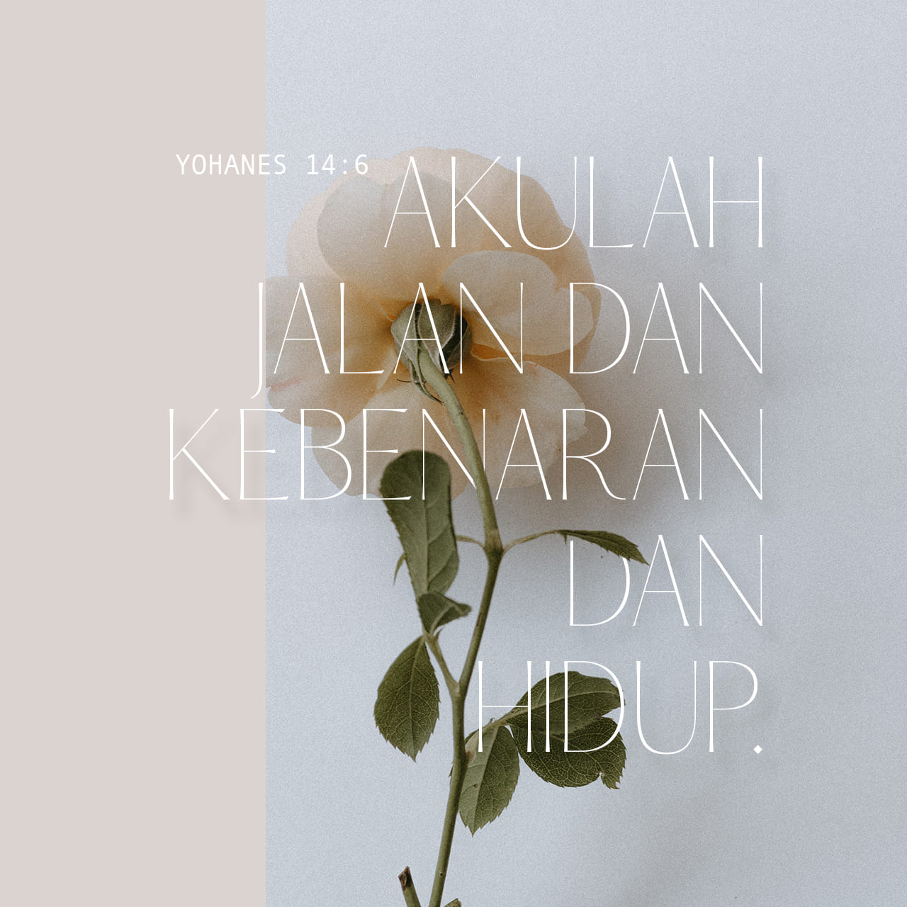 Yohanes 14:6