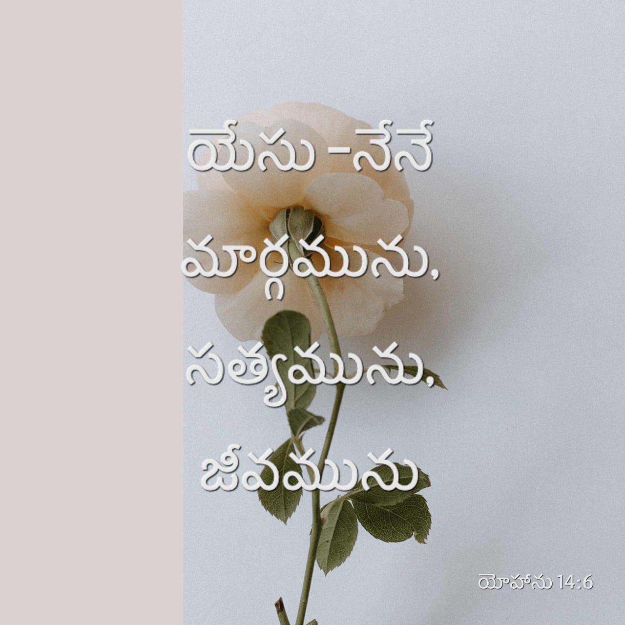 😃మంచి మాటలు - ShareChat