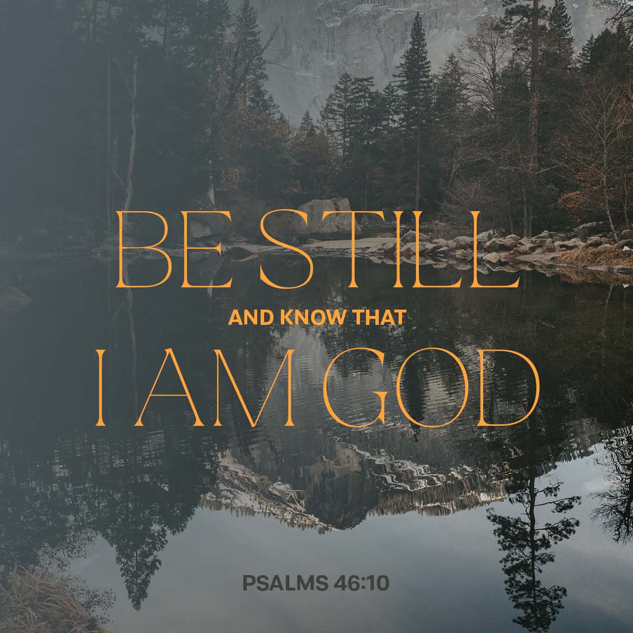 Bible Verse of the Day - day 308 - image 52890 (Psalms 46:10)