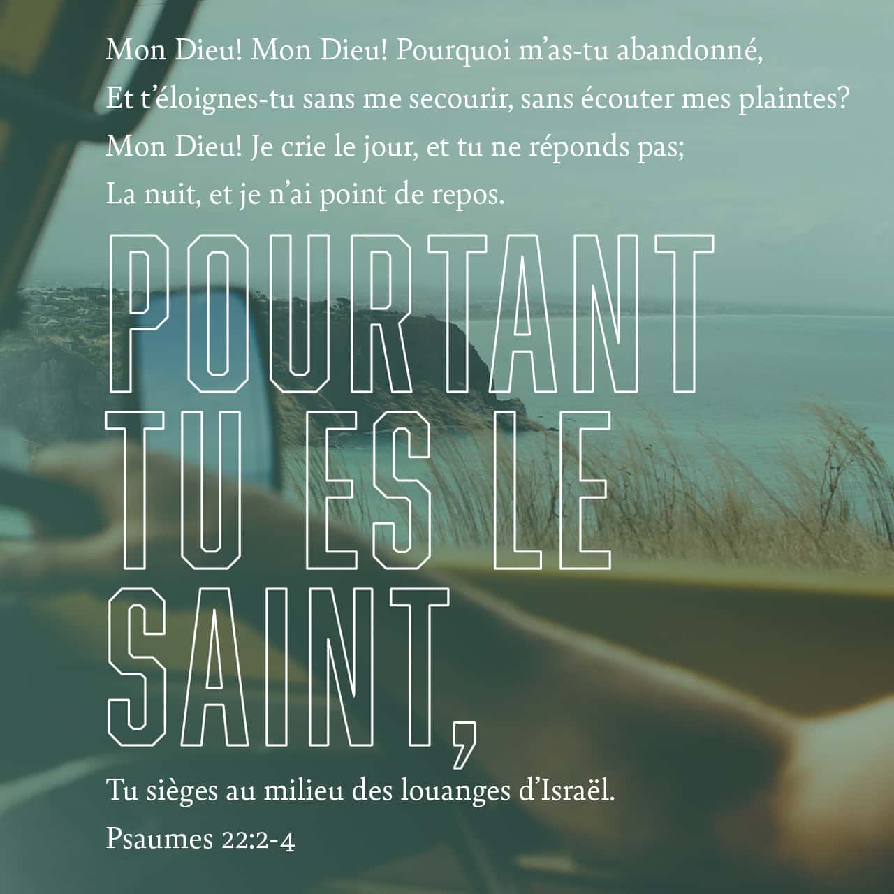 Les Psaumes 22 2 Mon Dieu Mon Dieu Pourquoi M As Tu Abandonne Je Crie Mais Ton Secours Ne Vient Pas Parole De Vie 17 Pdv17 Telecharger La Bible App Maintenant