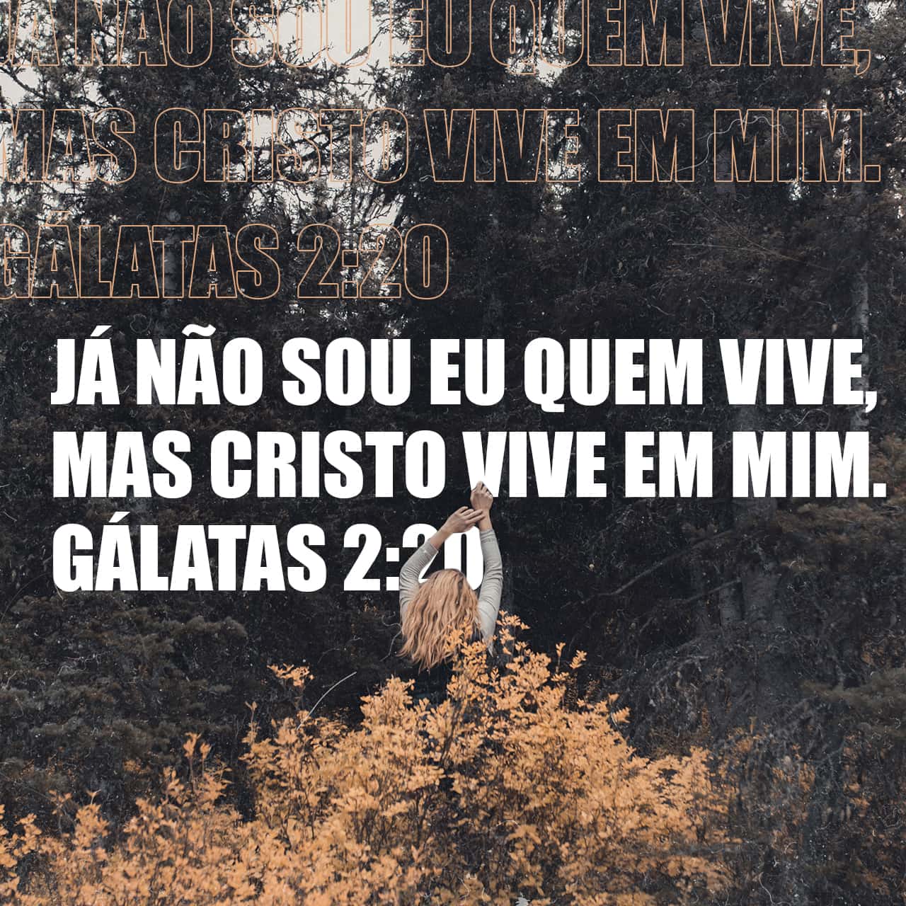 Gálatas 2:20 Assim Já Não Sou Eu Quem Vive, Mas Cristo é Quem Vive Em ...