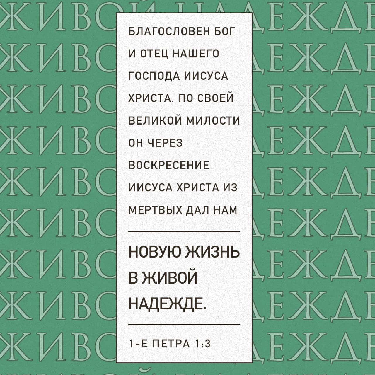 1-е Петра 1:3-7 Пусть будет благословен Бог и Отец Господа нашего Иисуса  Христа. В великой милости Своей Он даровал нам второе рождение, чтобы мы  обрели живую надежду с воскресением Иисуса Христа из