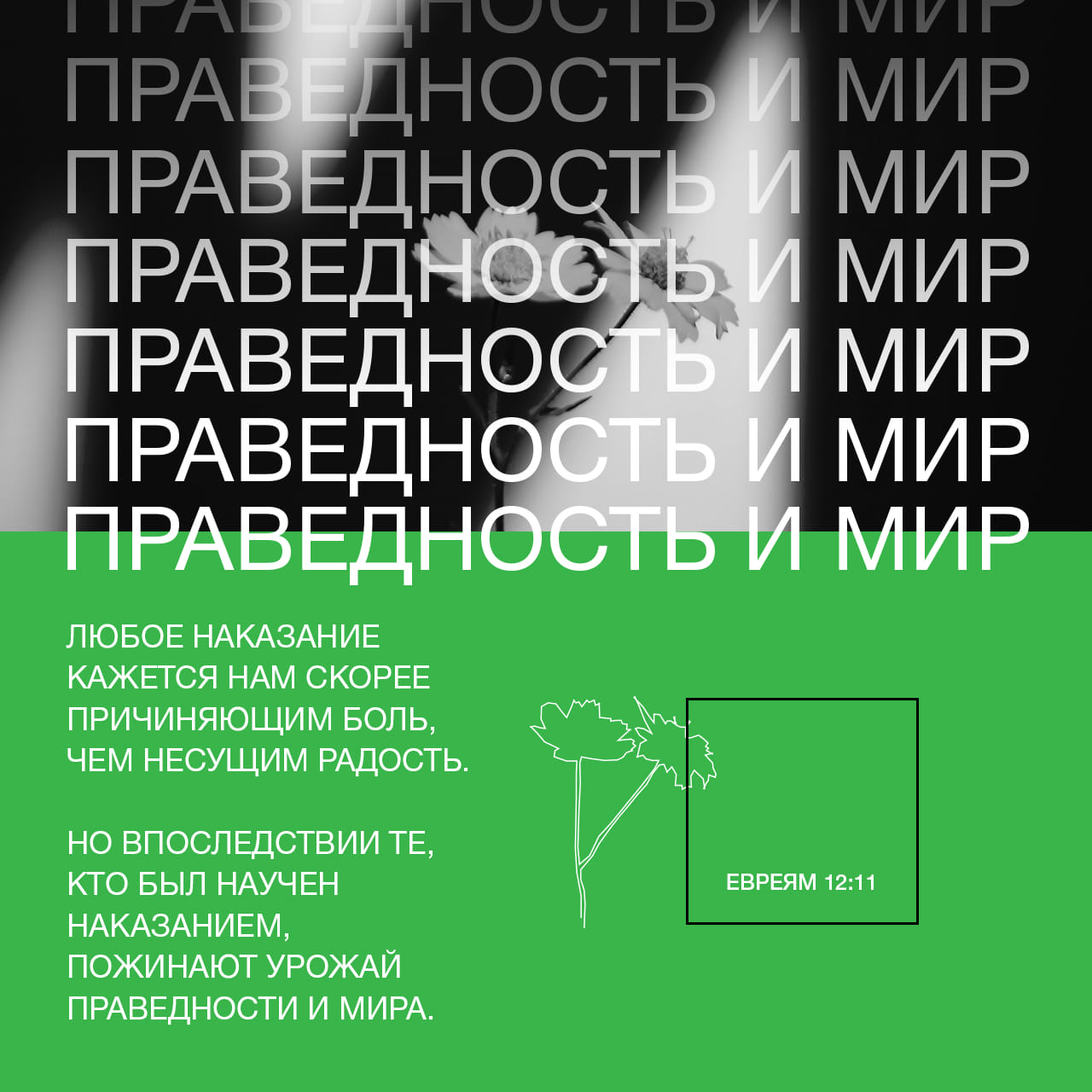 Евреям 12. Послание к евреям 4 12. Евреям 12 11. Библия РСП. Евреям 12:15.