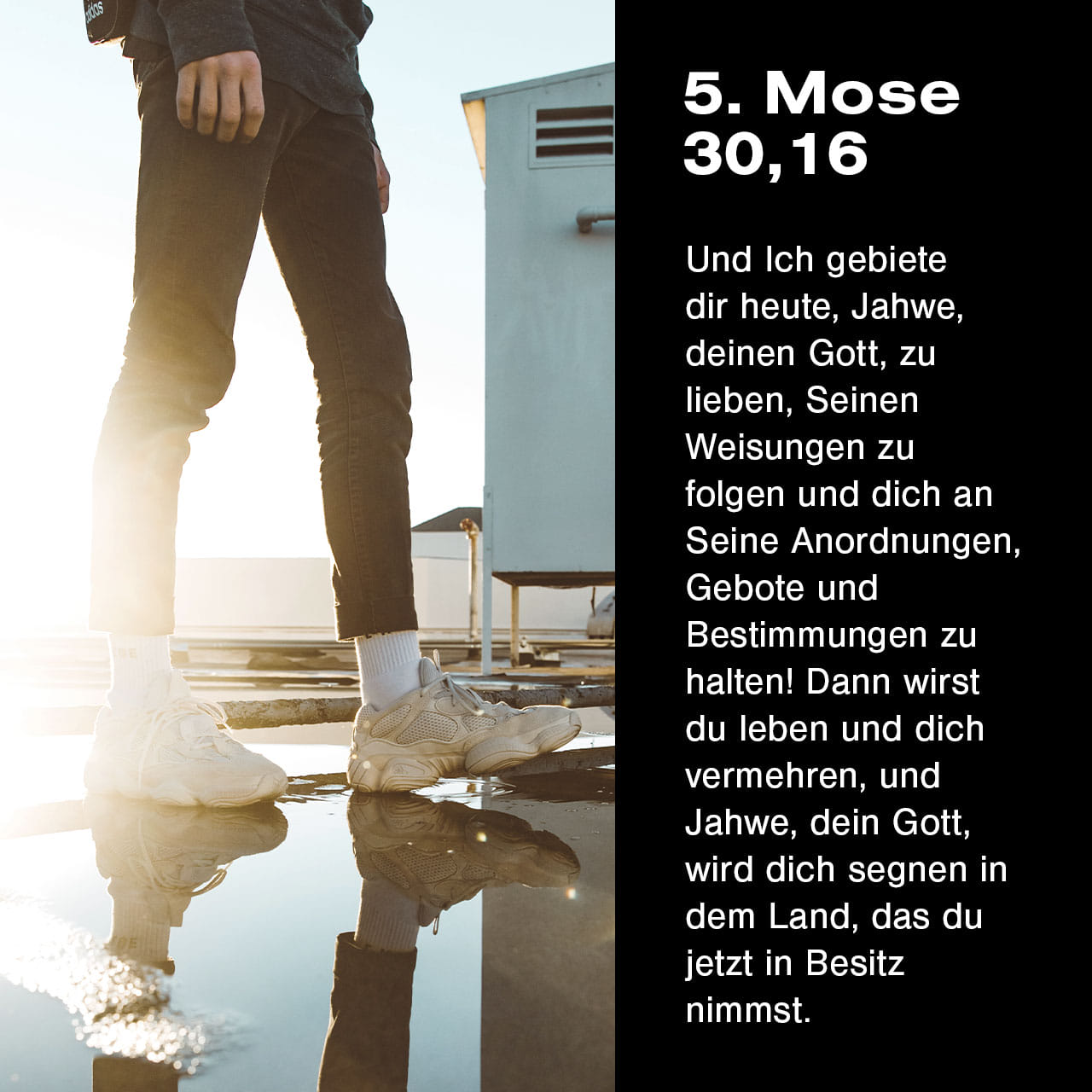 5. Mose 3016 Ich fordere euch auf Liebt den HERRN, euren Gott! Geht den Weg, den er euch zeigt