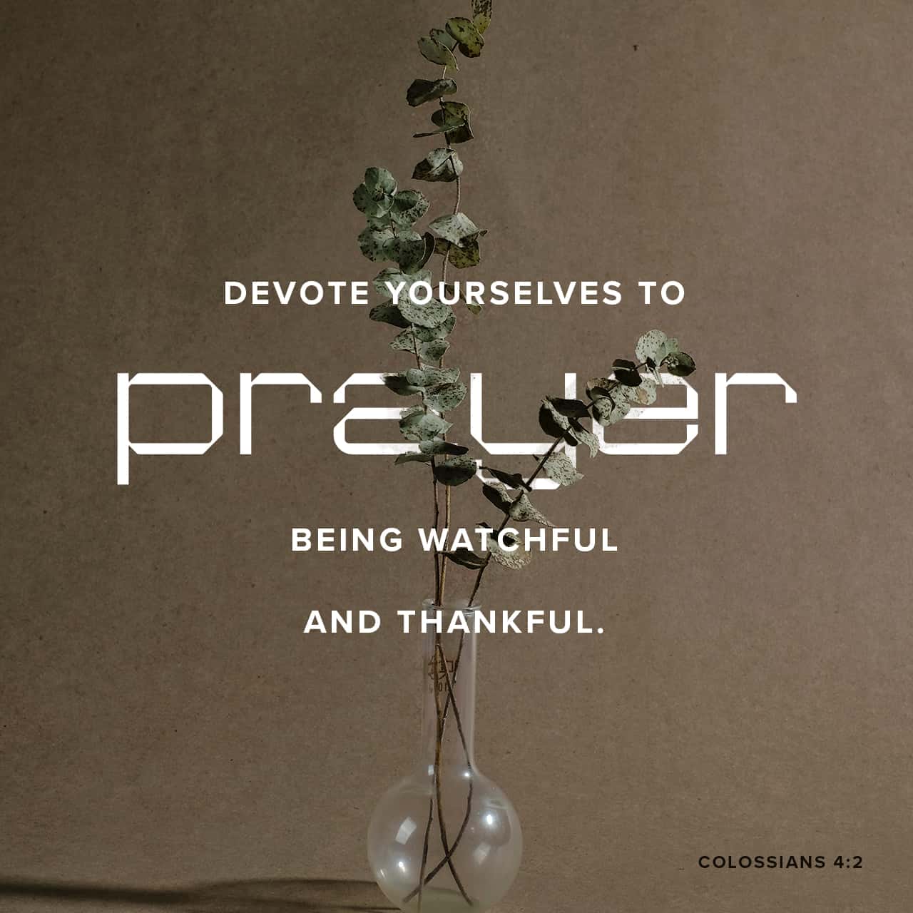 Colossians 4:2 Be faithful to pray as intercessors who are fully alert and giving thanks to God. | The Passion Translation (TPT) | Download The Bible App Now