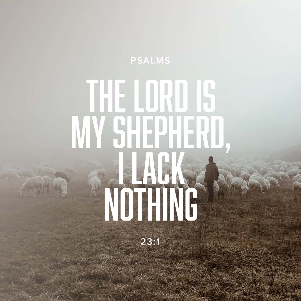 Psalms 23 1 The LORD Is My Shepherd I Have All That I Need New 