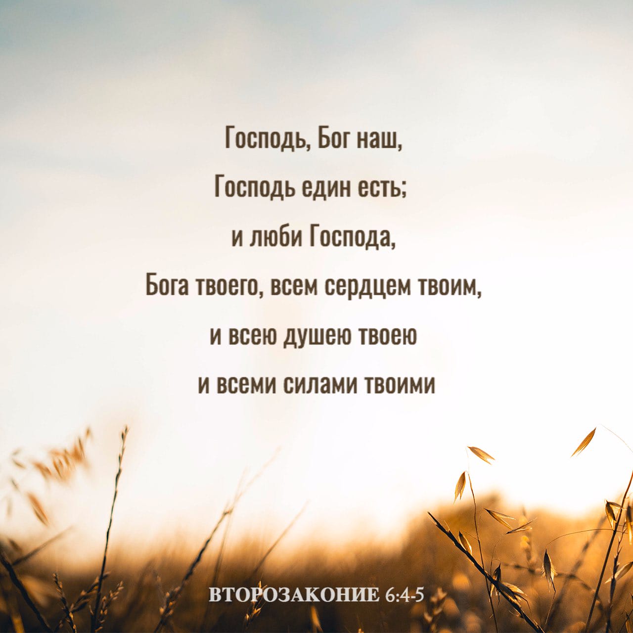 Удивительный вопрос: почему я водовоз? | Илья Клеймёнов. Мадагаскар | Дзен