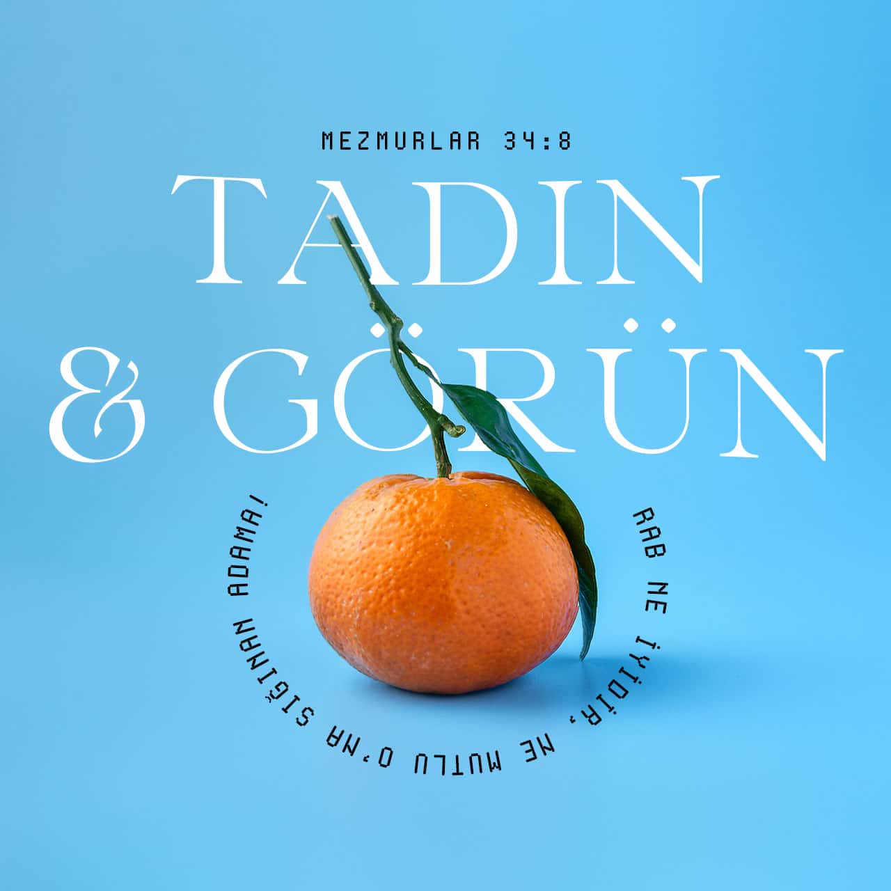 Komplekssiz BBW jinsiy aloqa