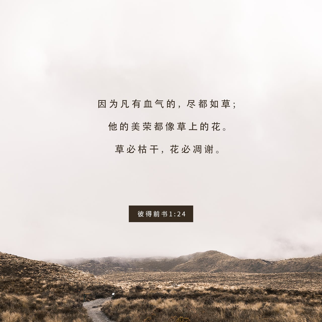 今日经文 Youversion