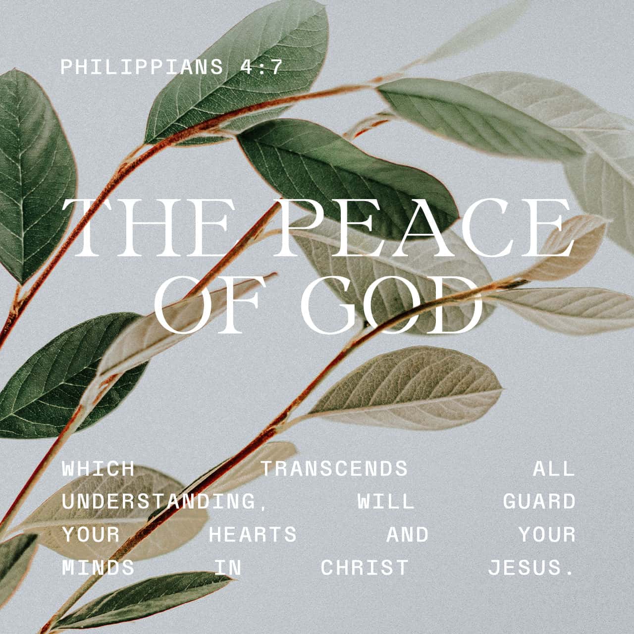 Philippians 4 7 And The Peace Of God Which Surpasses All Understanding 