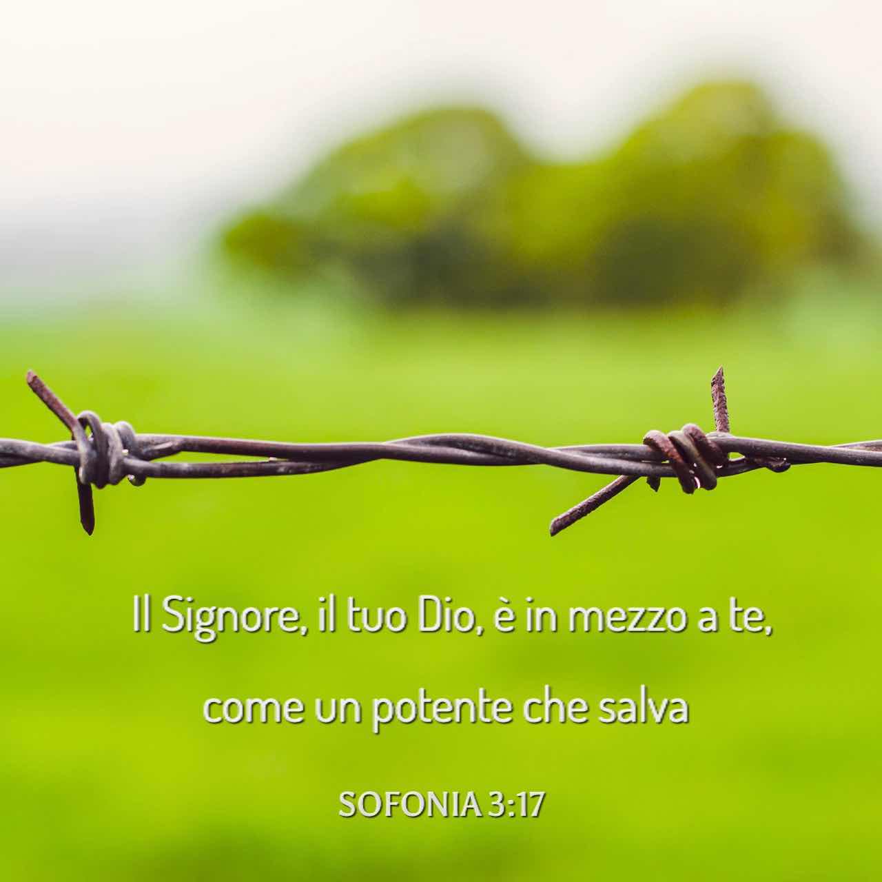 Sofonia 3:17 Il Signore, il tuo Dio, è in mezzo a te, come un potente che  salva; egli si rallegrerà con gran gioia per causa tua; si acqueterà nel  suo amore, esulterà