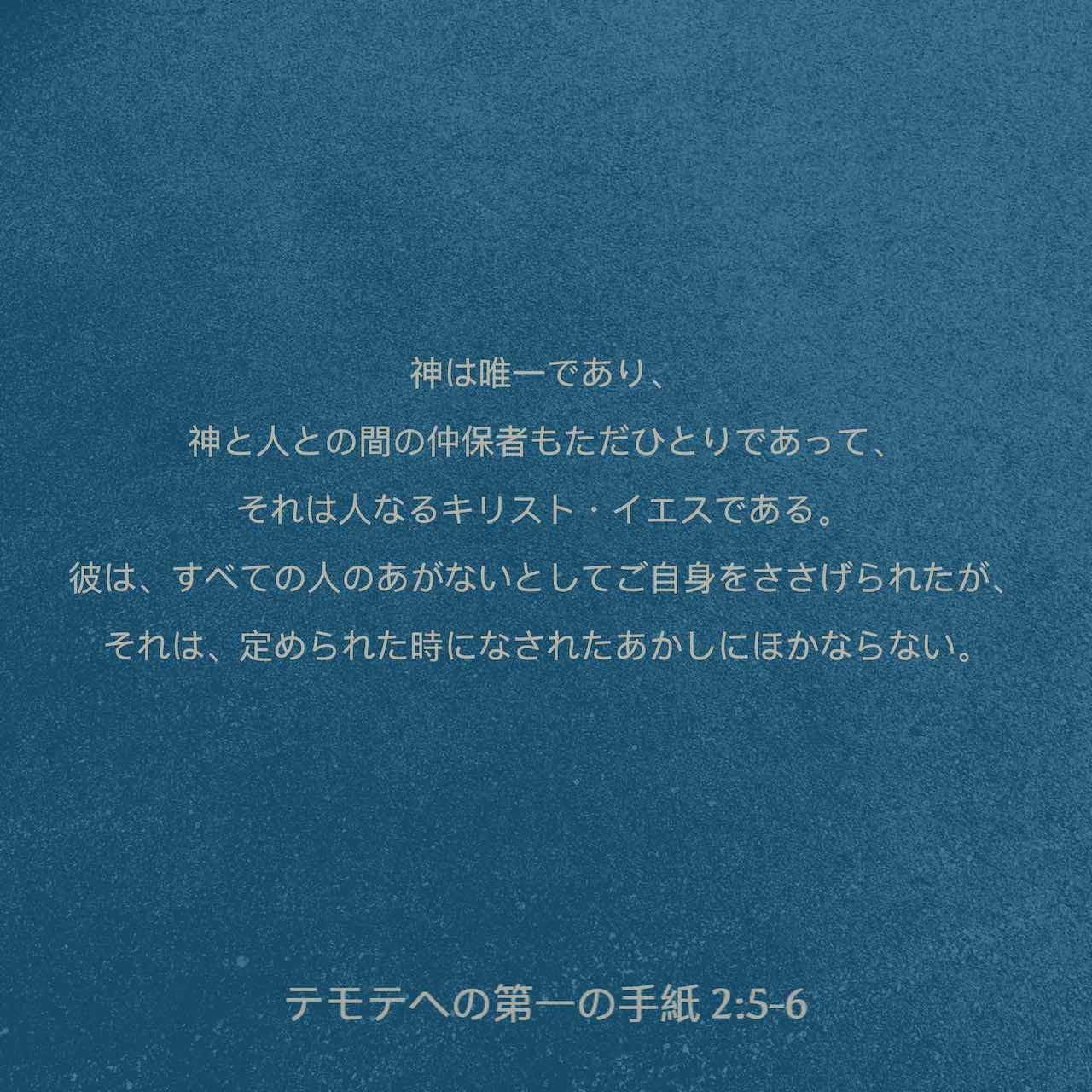 テモテへの手紙1、2・テトスへの手紙 (現代聖書注解) テサロニケの信徒への手紙1、2 (現代聖書注解) | B.R. ガヴェンタ