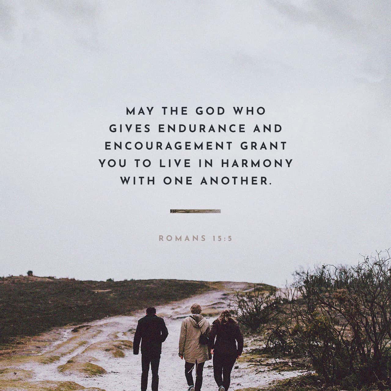 Romans 15:5 May The God Of Endurance And Encouragement Grant You To Live In  Such Harmony With One Another, In Accord With Christ Jesus | English  Standard Version 2016 (Esv) | Download