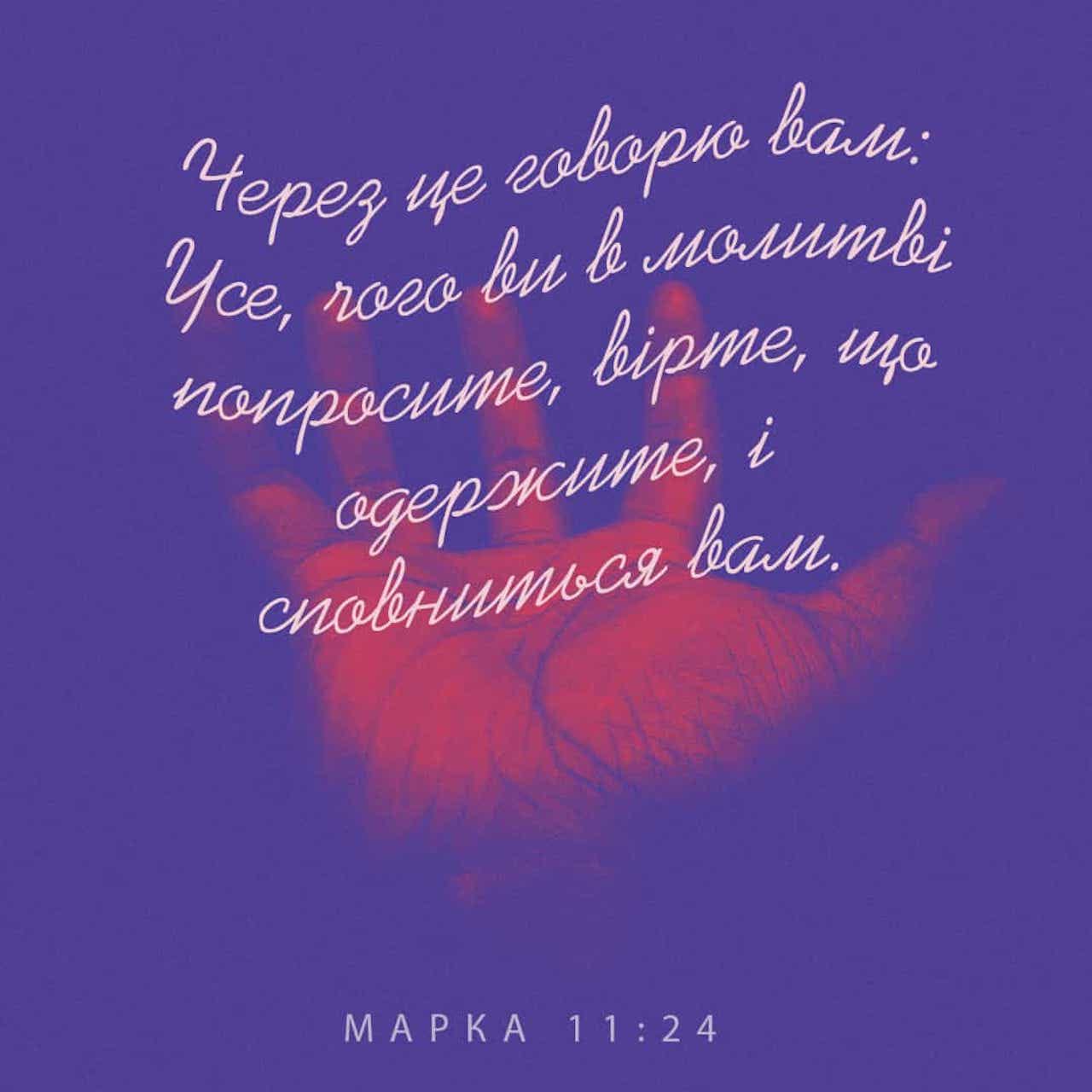 второзаконие 11 24