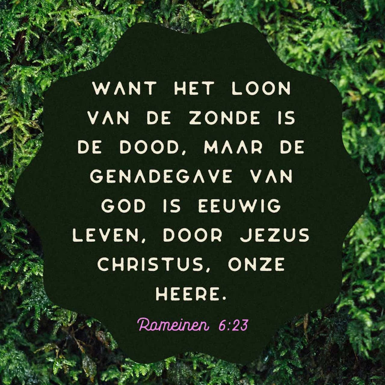 Romeinen 6 23 De Zonde Betaalt Een Hard Loon De Dood Maar De Genade Van God Geeft Wat Niemand