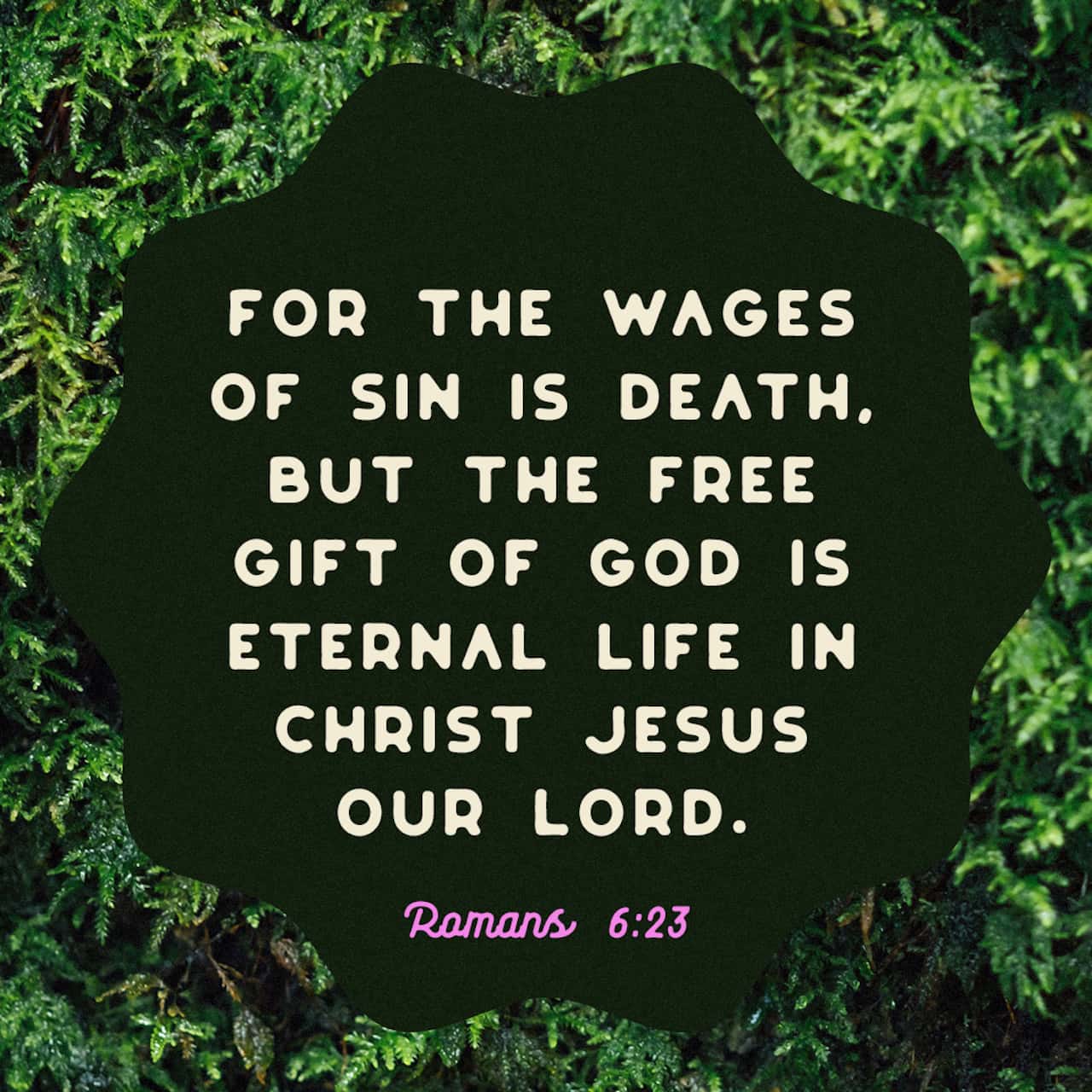 Romans 623 For the wages of sin is death, but the gift of