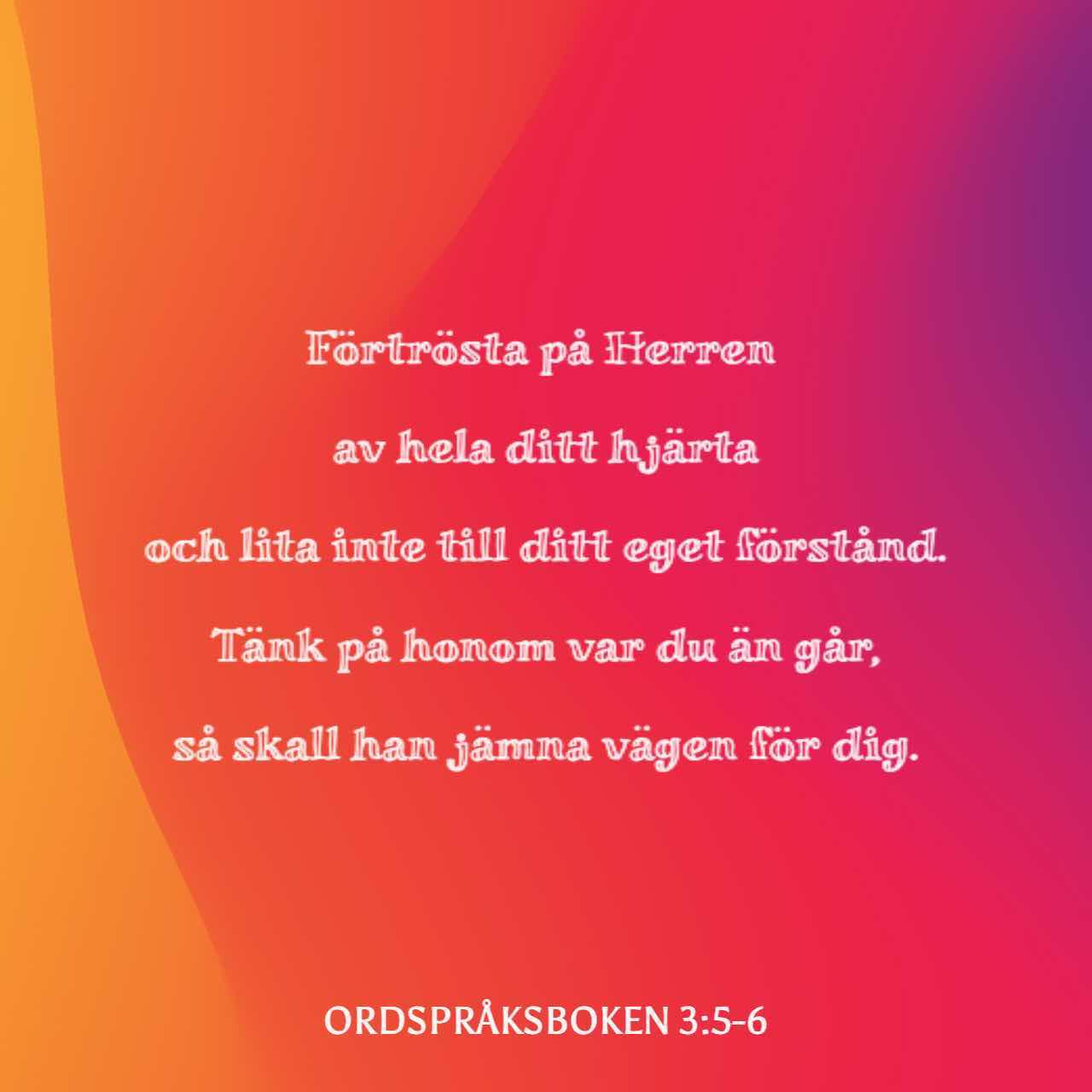 Ordspråksboken 3:5-6 Förtrösta på Herren av hela ditt hjärta och 