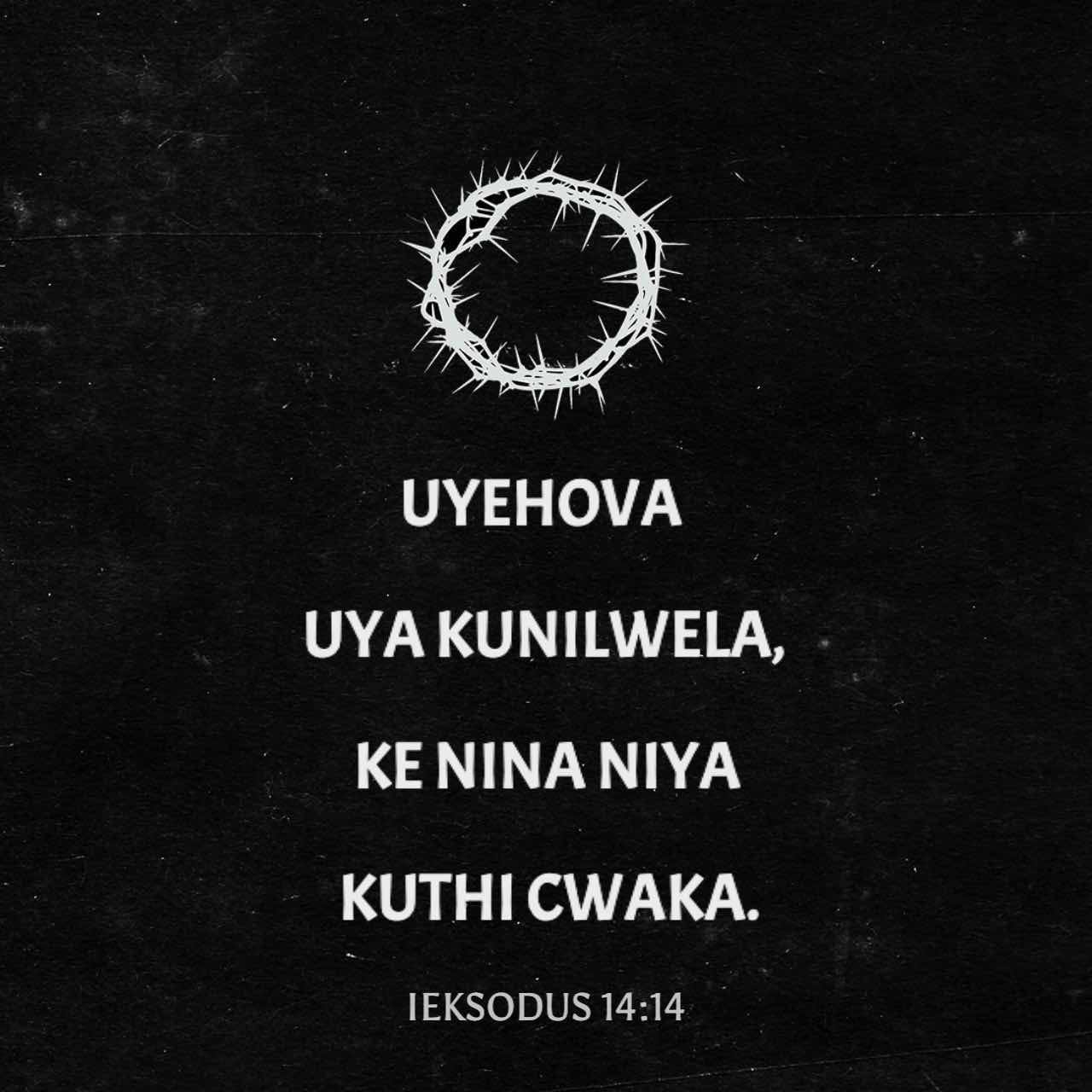 Ayollarda keng tos suyagi: erotik fotosuratlar