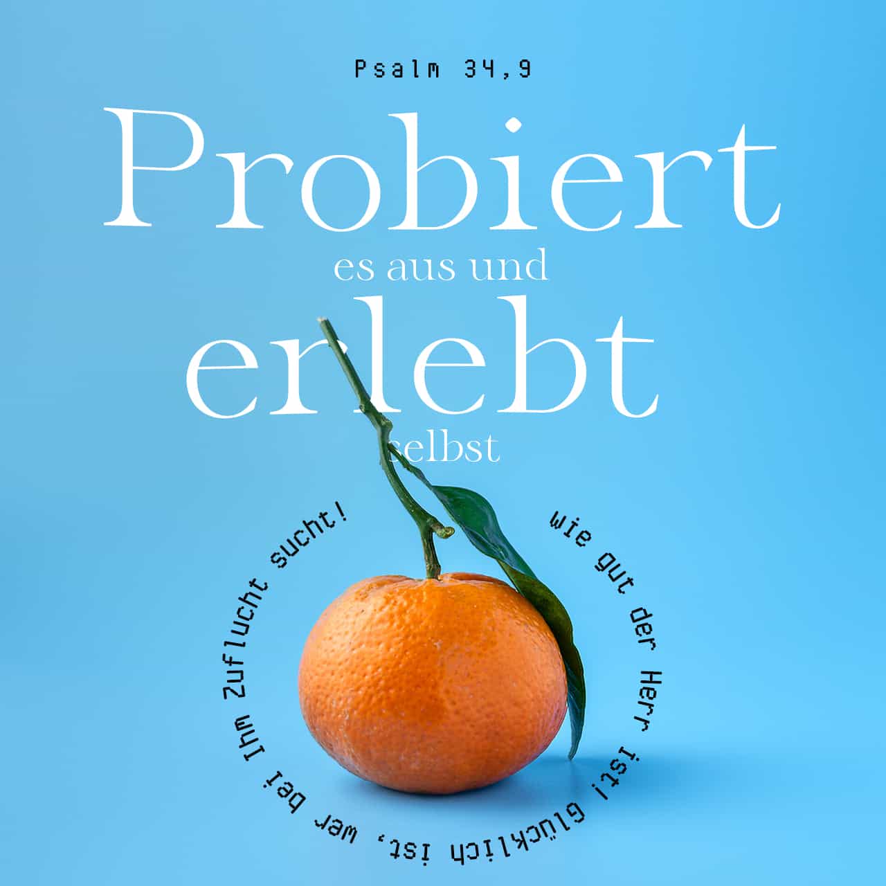 Psalm 349 Probiert es aus und erlebt selbst, wie gut der HERR ist! Glücklich ist, wer bei ihm