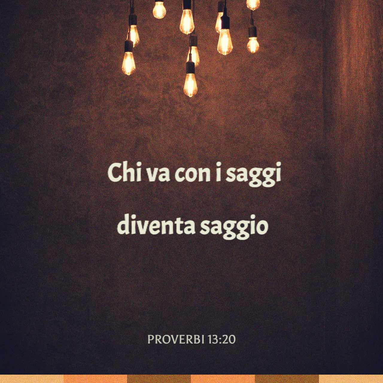 Proverbi 13:20 Chi va con i sapienti diventa sapiente, chi va con gli