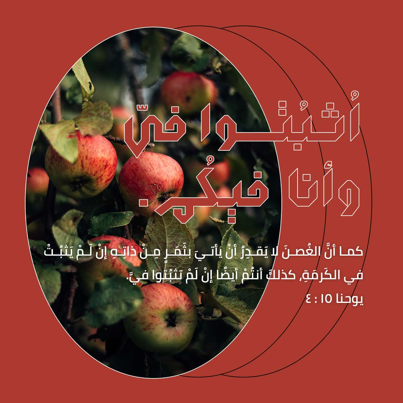 إنجيل يوحنا 3:15-5 أَنْتُمُ الآنَ أَنْقِيَاءُ بِسَبَبِ الْكَلِمَةِ ...