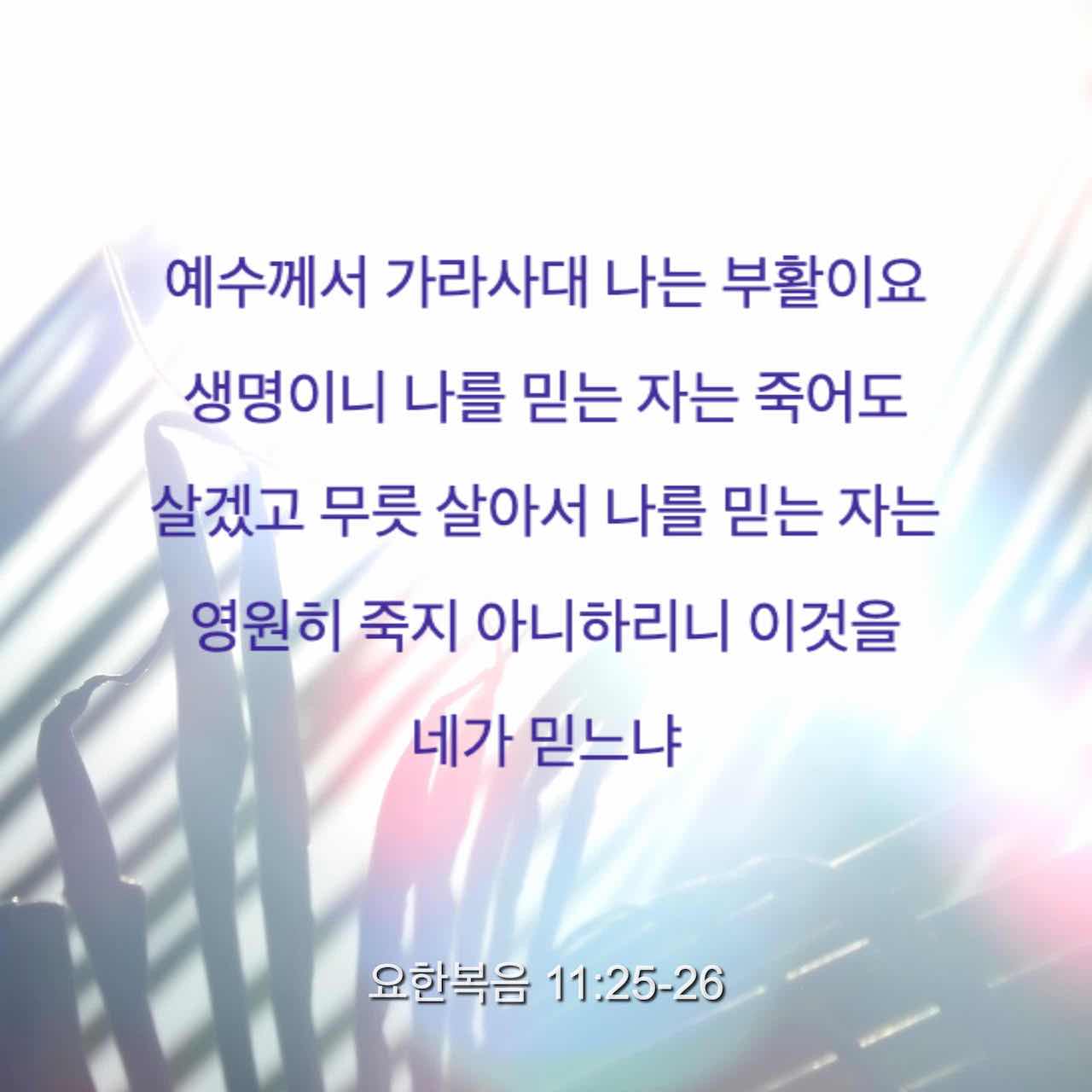 요한복음 11:25-27 예수께서 가라사대 나는 부활이요 생명이니 나를 믿는 자는 죽어도 살겠고 무릇 살아서 나를 믿는 자는 영원히 죽지 아니하리니 이것을 네가 믿느냐 가로되 주여 그러하외다 주는 그리스도시요 세상에 오시는 하나님의 아들이신줄 내가 믿나이다 | 개역한글 (KRV) | 지금 성경 앱 다운로드