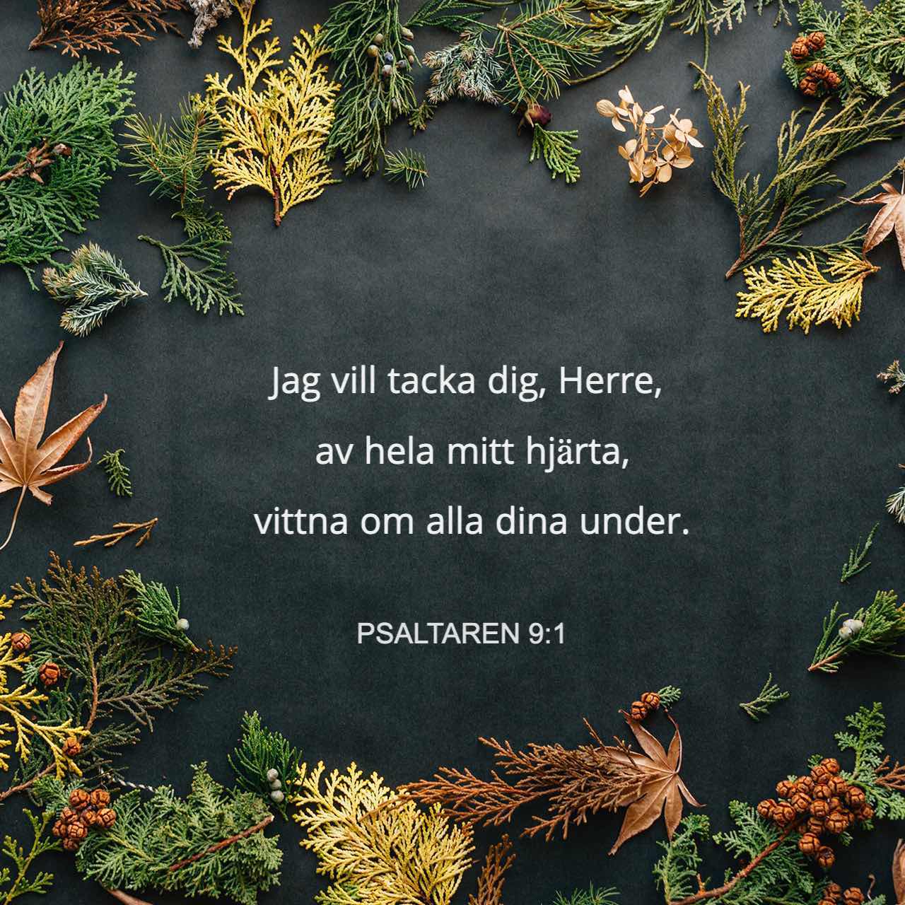 Psaltaren 9:2 Jag Vill Tacka Dig, Herre, Av Hela Mitt Hjärta, Vittna Om ...