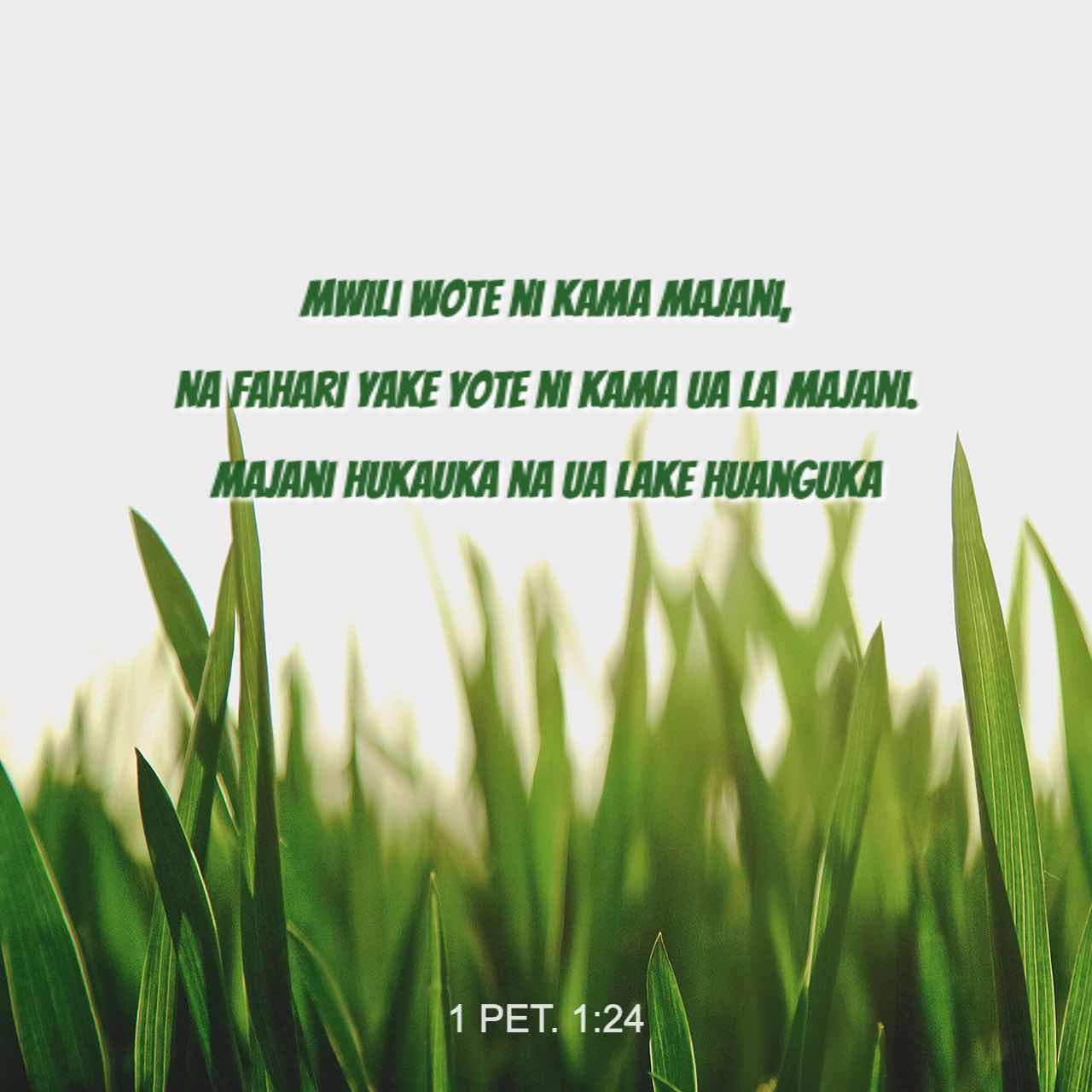 Porno video: Er xotinini aldayotganini ushladi