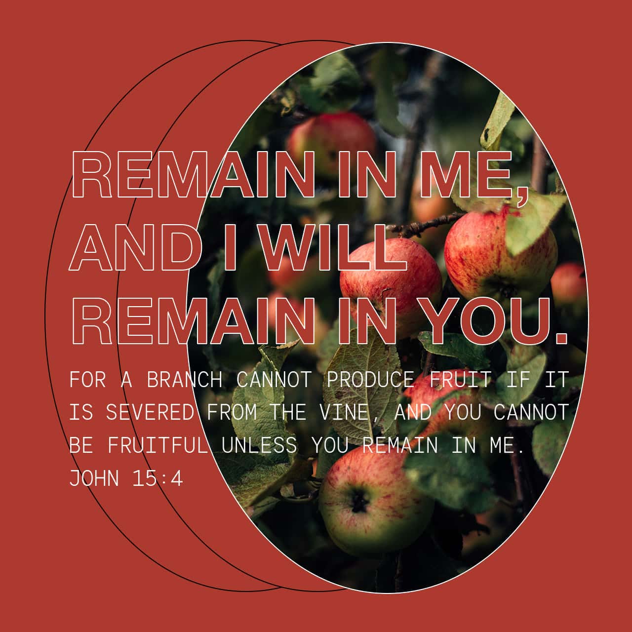 John 15:4 Remain in me, as I also remain in you. No branch can bear fruit  by itself; it must remain in the vine. Neither can you bear fruit unless  you remain