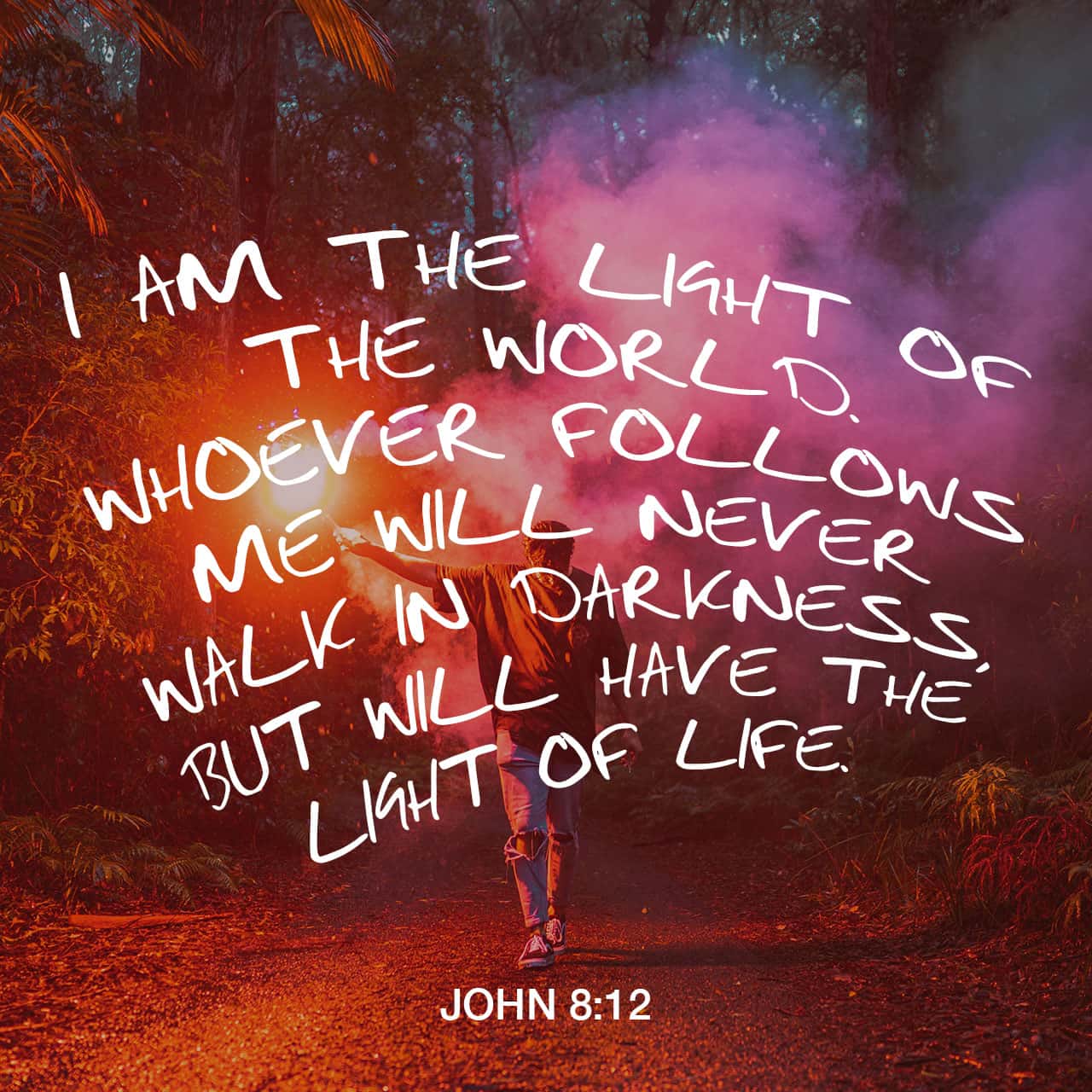 last Periodisk dvs. John 8:12 When Jesus spoke again to the people, he said, “I am the light of  the world. Whoever follows me will never walk in darkness, but will have  the light of