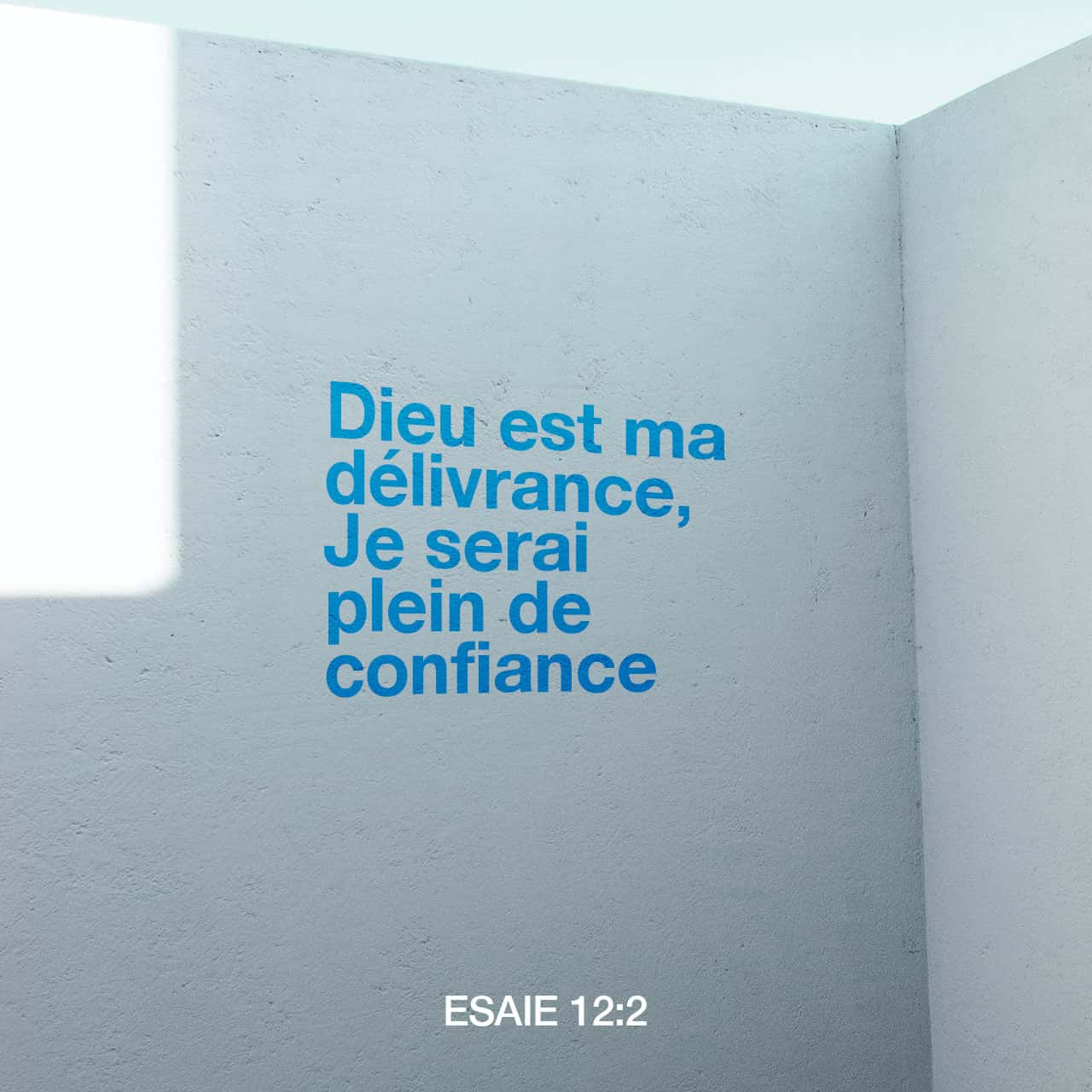 Ésaïe 12:2 Voici, Dieu est ma délivrance, Je serai plein de confiance, et  je ne craindrai rien; Car lÉternel, lÉternel est ma force et le sujet de  mes louanges; Cest lui qui