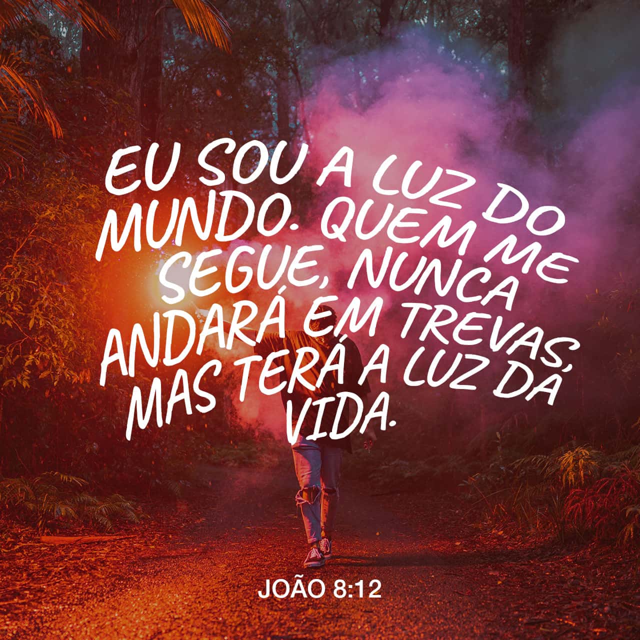 joão 8 12 29 explicação