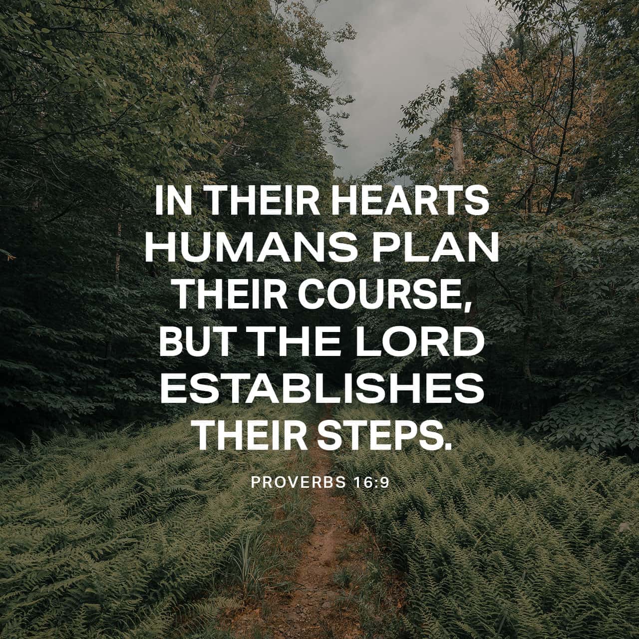 Proverbs 16:9 In their hearts humans plan their course, but the LORD  establishes their steps. | New International Version (NIV) | Download The  Bible App Now