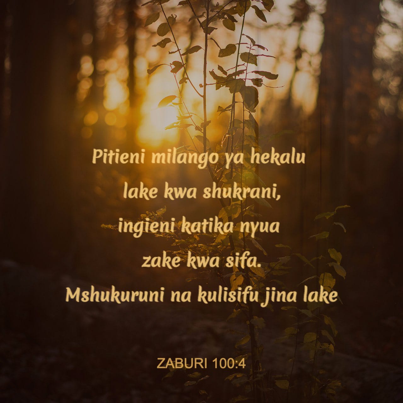 Osiyo porno videolar hol onlayn