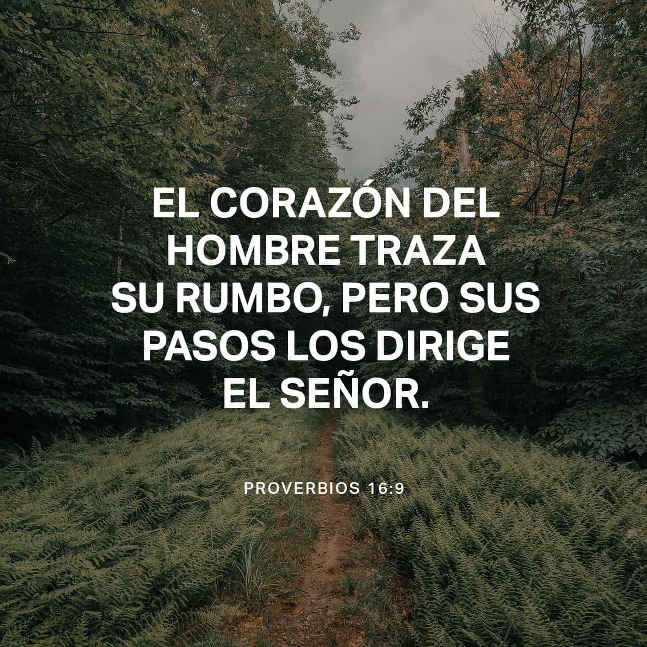 Proverbios 169 23 El Corazón Del Hombre Pondera Su Camino Pero El Señor Le Corrige El Rumbo 3189