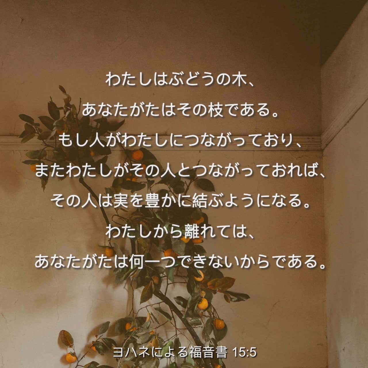 ヨハネによる福音書 15 5 わたしはぶどうの木 あなたがたはその枝である もし人がわたしにつながっており またわたしがその人とつながっておれば その人は実を豊かに結ぶようになる わたしから離れては あなたがたは何一つできないからである Japanese 聖書