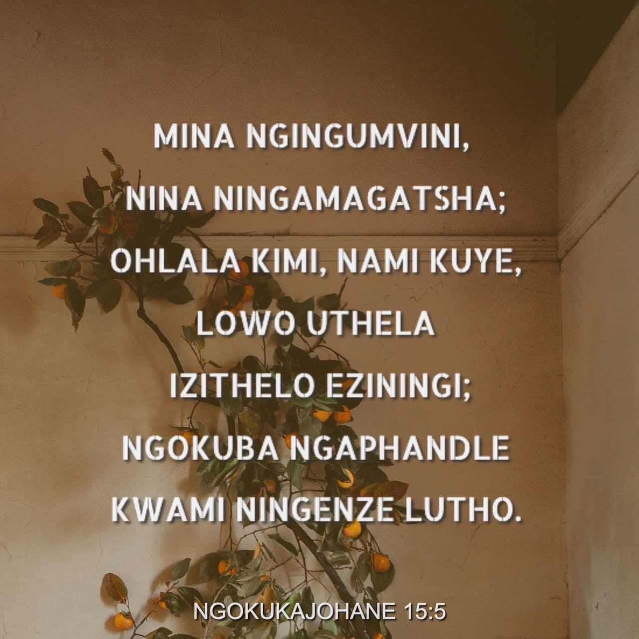 Evelinaning yalangoch niqobi namoyishi