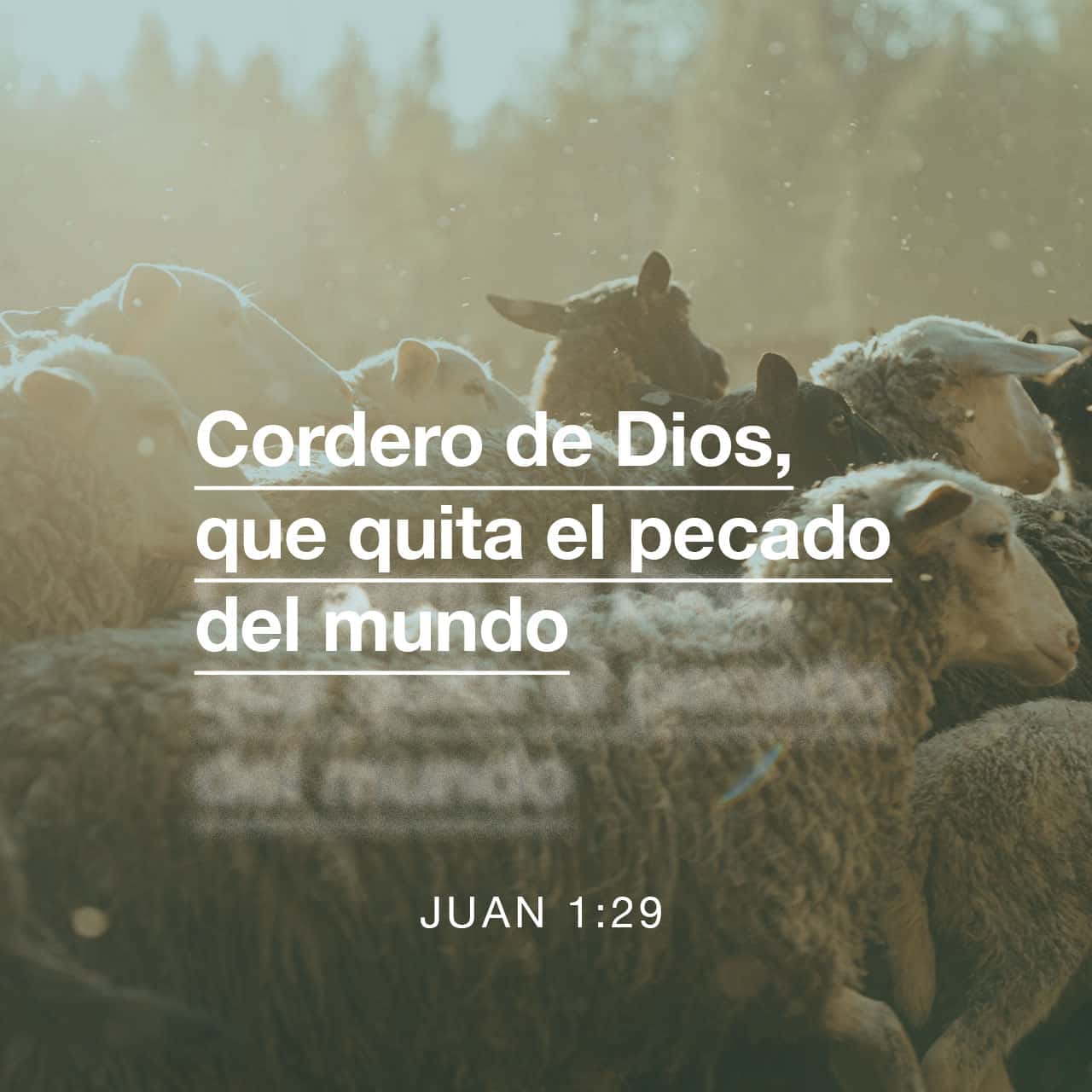 Juan 1:29-30 Al día siguiente, Juan vio que Jesús se acercaba. Entonces ...