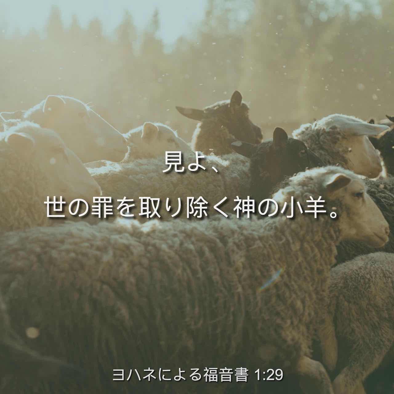 ヨハネによる福音書 講解(尾山令仁) / 古本、中古本、古書籍の