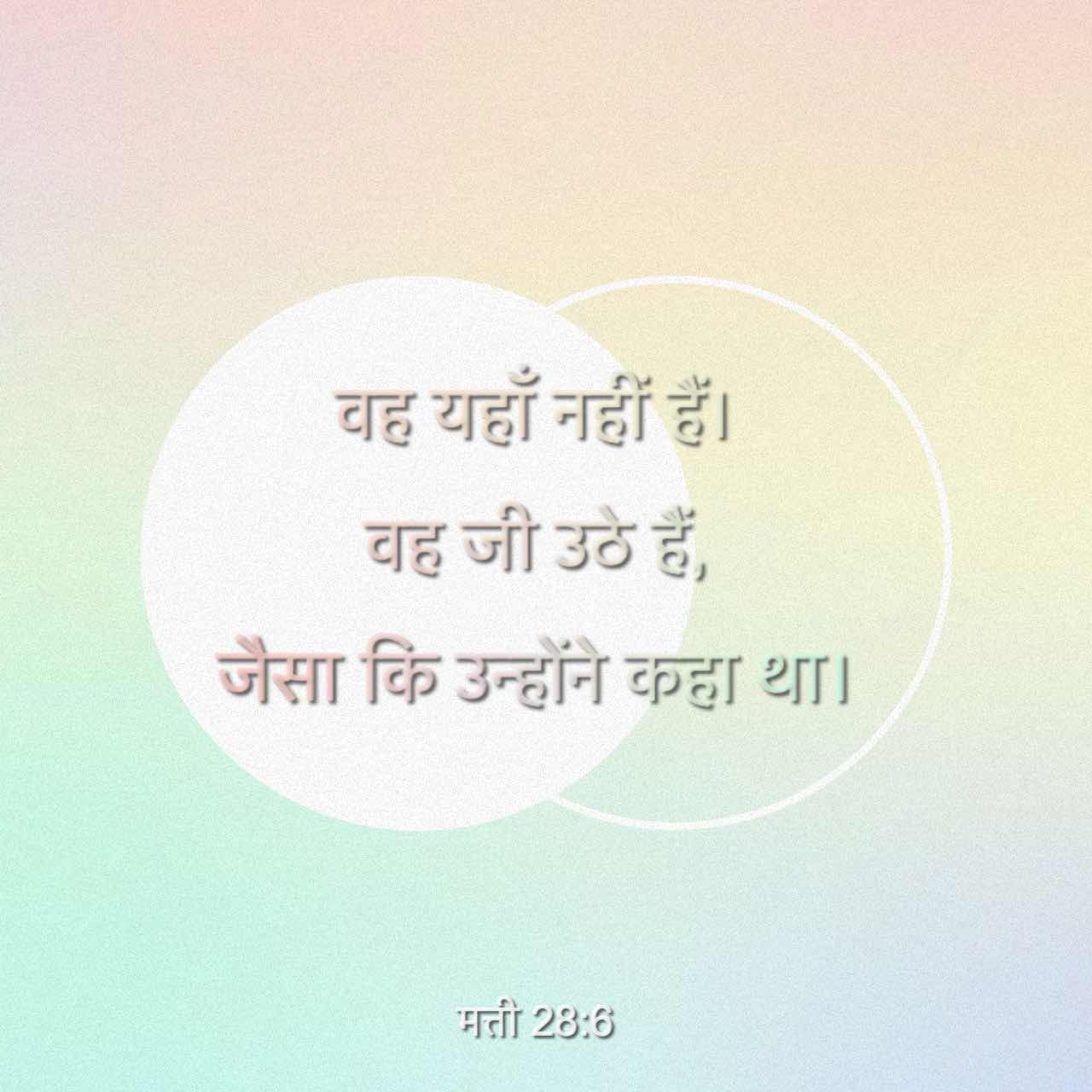🌼 मेरा बगीचा 🌸 - ShareChat