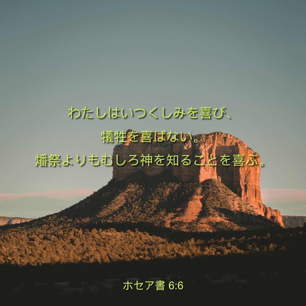 ホセア書 6:6 わたしはいつくしみを喜び、犠牲を喜ばない。 燔祭よりも ...