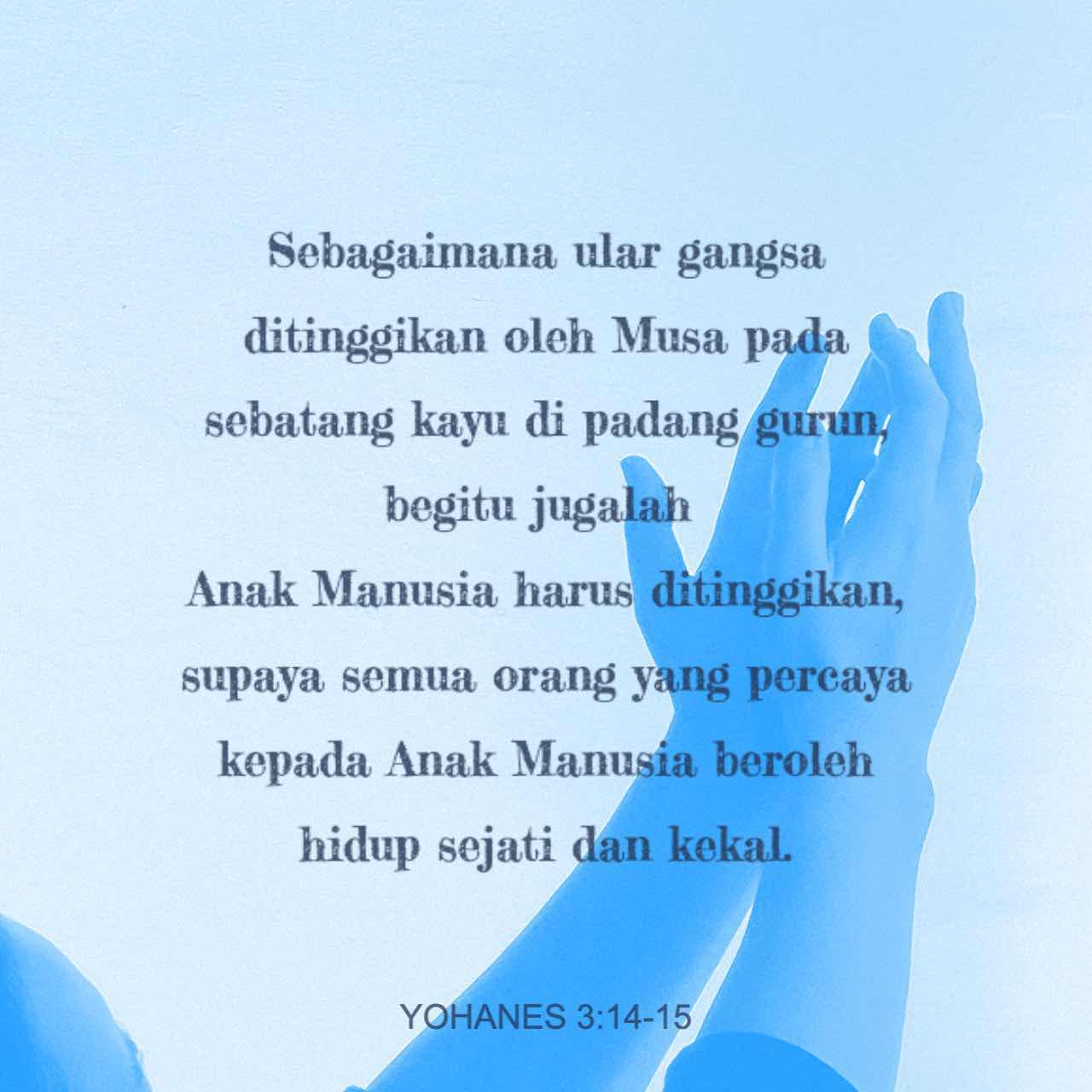 Rus ayollari ishtirokidagi erotik videolar