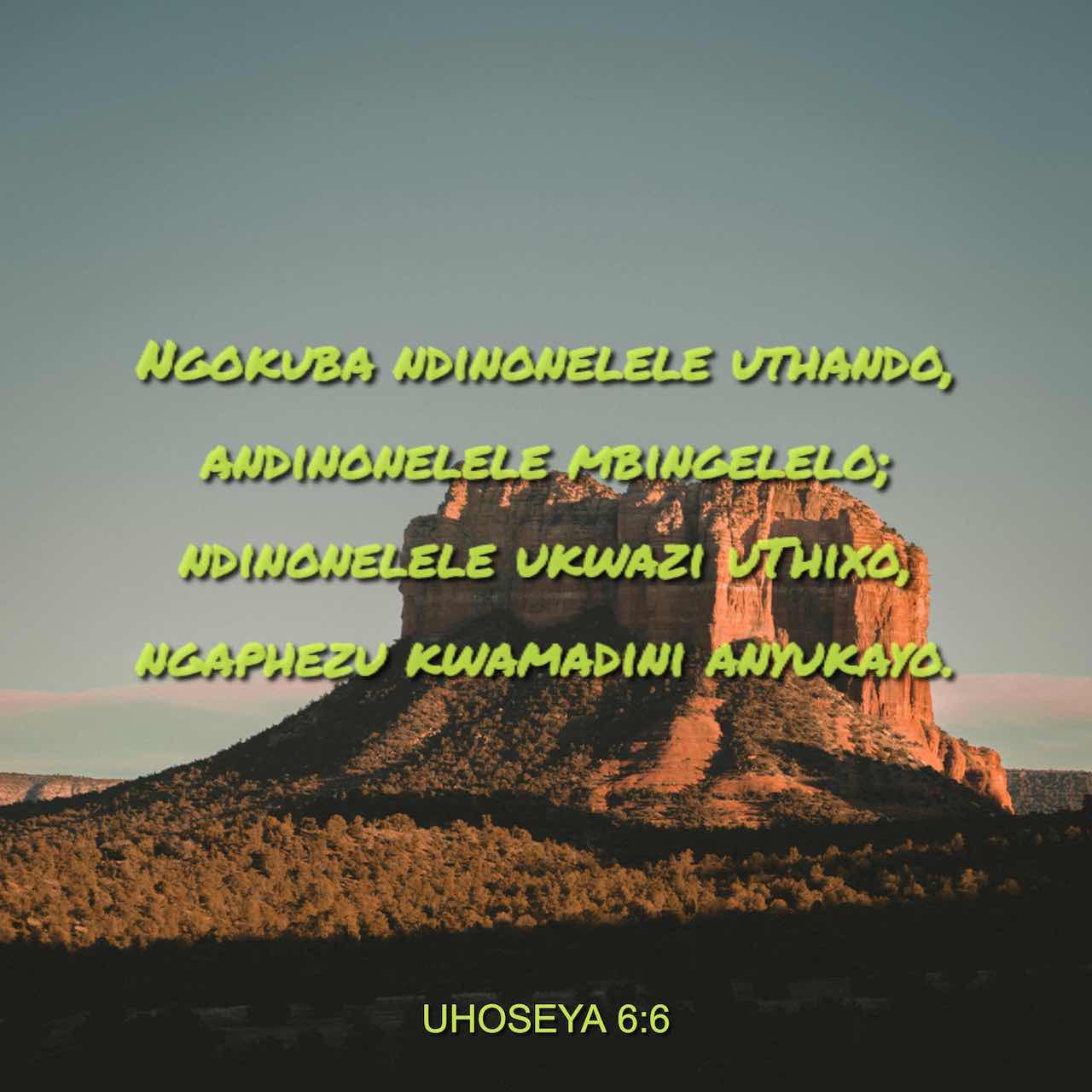 U‐Hosheha 6:6 (XHO1902A) - Ngokuba bendifuna ububele, bendinga