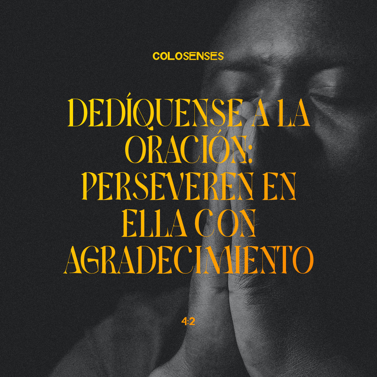 qué nos enseña colosenses capítulo 4 versículo 2