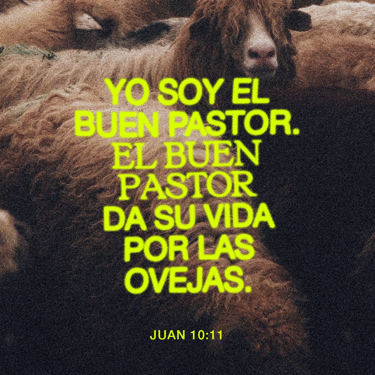 S. Juan 10:9-11 Yo soy la puerta; el que por mí entrare, será salvo; y  entrará, y saldrá, y hallará pastos. El ladrón no viene sino para hurtar y  matar y destruir;