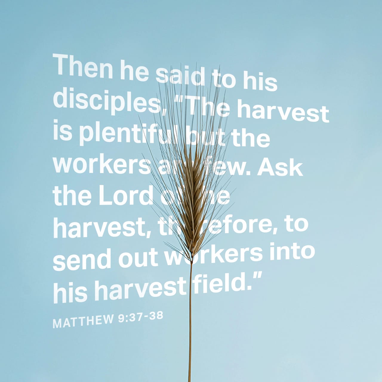 Matthew 9:38 God owns the harvest. Pray to him that he will send more  workers to help gather his harvest.” | International Children&#39;s Bible (ICB)  | Download The Bible App Now