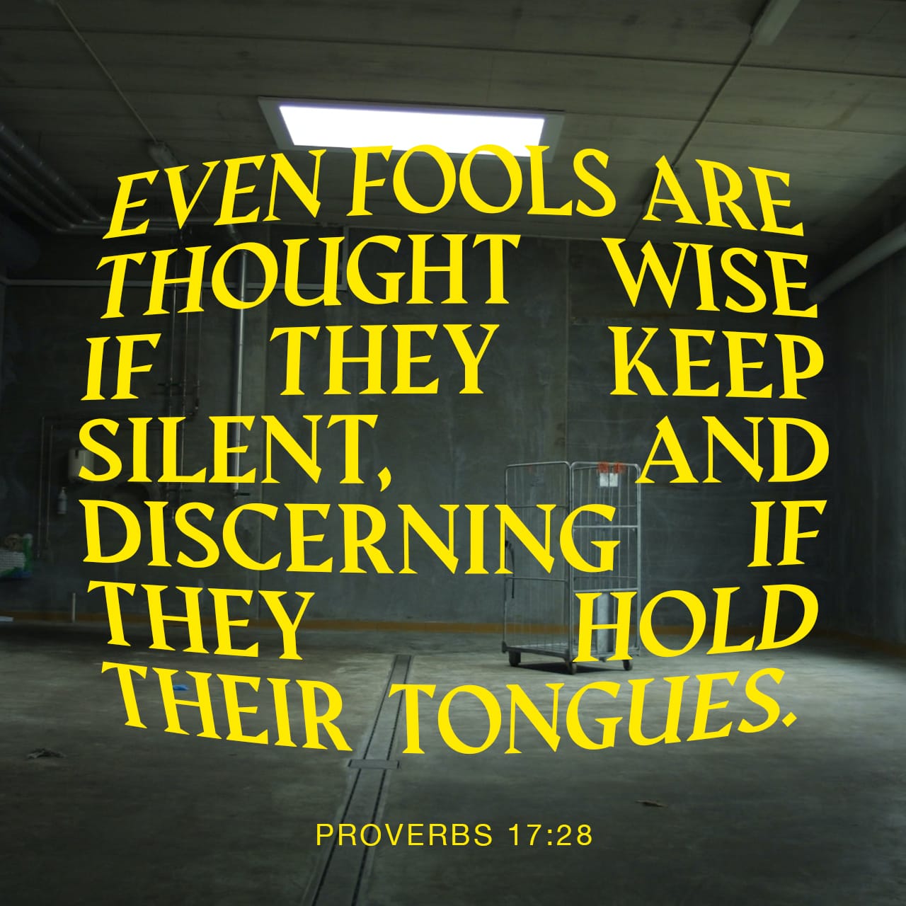 Proverbs 17:27-28 The one who knows much says little; an understanding  person remains calm. Even dunces who keep quiet are thought to be wise; as  long as they keep their mouths shut,