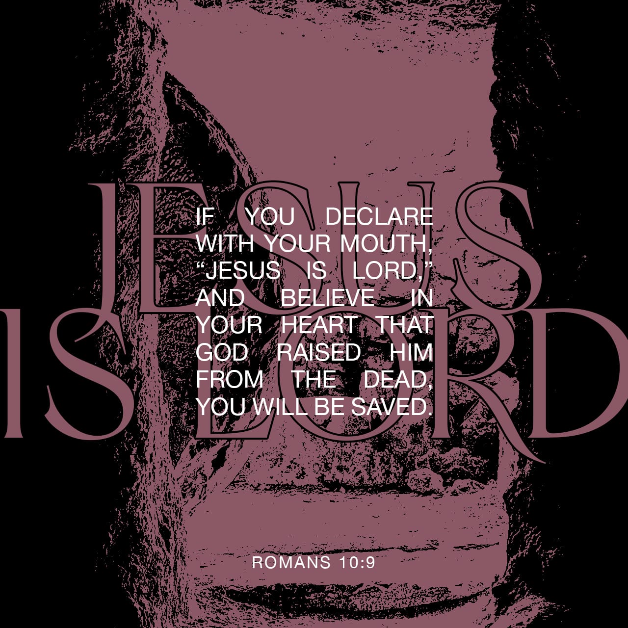 Romans 10:9-10 Because if you acknowledge and confess with your lips that Jesus is Lord and in your heart believe (adhere to, trust in, and rely on the truth) that God raised Him from the dead, you will be saved. Fo | Amplified Bible, Classic Edition (AMPC) | Download The Bible App Now